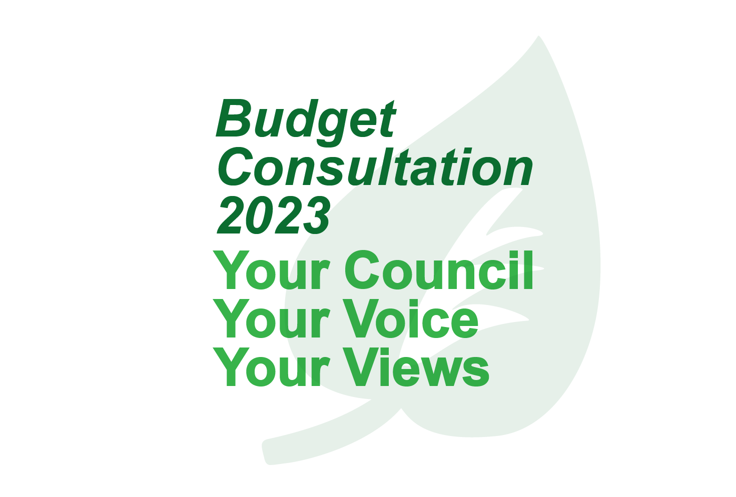 Budget Consultation 2023