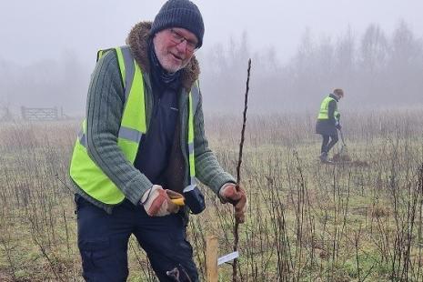 tree planting